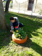 IMG_20180420_154023.jpg